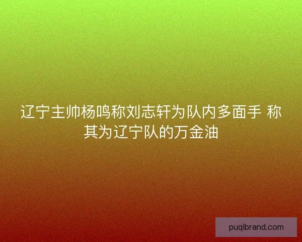辽宁主帅杨鸣称刘志轩为队内多面手 称其为辽宁队的万金油 辽宁主帅杨鸣称刘志轩为队内多面手 称其为辽宁队的万金油