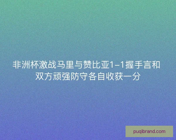 非洲杯激战马里与赞比亚1-1握手言和 双方顽强防守各自收获一分 非洲杯激战马里与赞比亚1-1握手言和 双方顽强防守各自收获一分