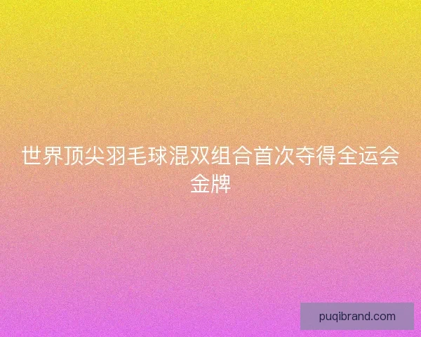 世界顶尖羽毛球混双组合首次夺得全运会金牌