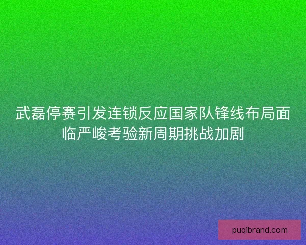 武磊停赛引发连锁反应国家队锋线布局面临严峻考验新周期挑战加剧
